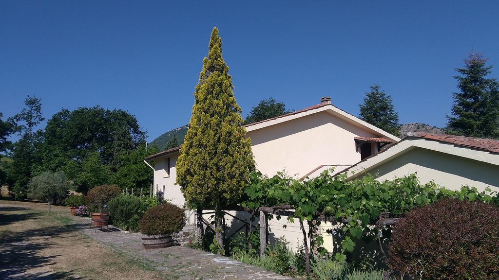 Agriturismo Collevento Trecchina Exterior photo